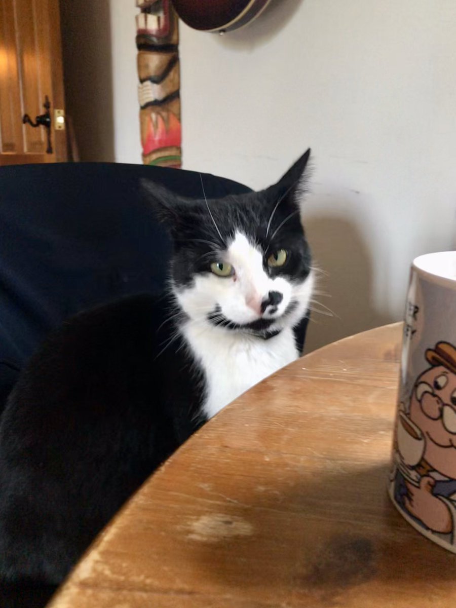 JonColen's tweet photo. @MyBCU Keeping me in check #furryboss https://t.co/dAHvawCOSG