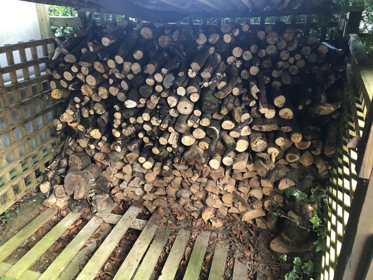 BroxtonLippiatt's tweet photo. Today I have been mostly sawing up wood #lockdown #benefitsoflockdown #setforwinter https://t.co/hjWfTdG8ZR