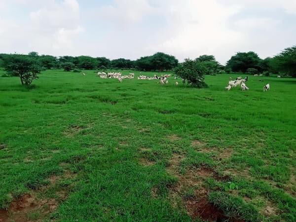 Ofaysal1984's tweet photo. The Beatyfull Pictures From #Yoocaale #Ogaden Somali Regional State. https://t.co/uxmhdVaeSu