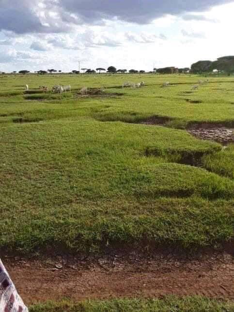 Ofaysal1984's tweet photo. The Beatyfull Pictures From #Yoocaale #Ogaden Somali Regional State. https://t.co/uxmhdVaeSu