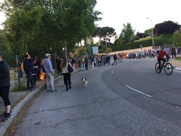 Ver imagen en Twitter