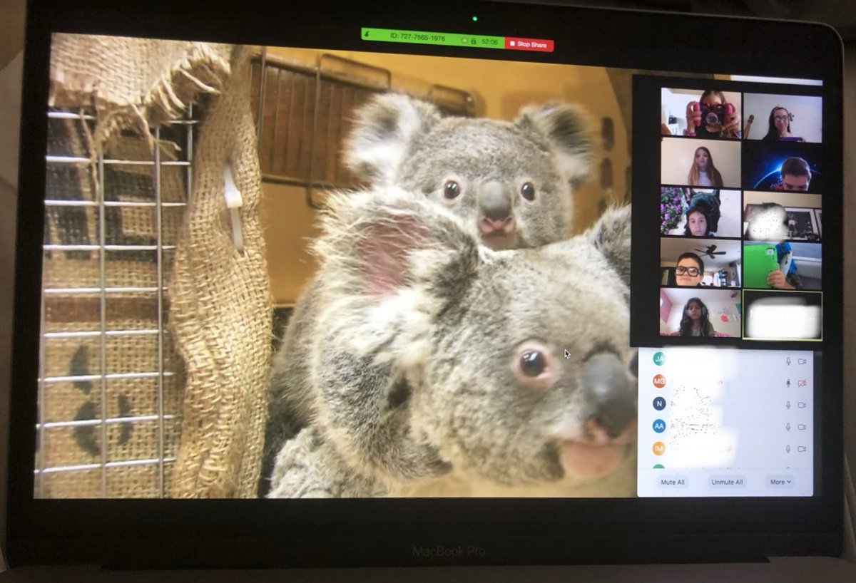 StellaMarisAcad's tweet photo. Mrs. Nauss's second grade class had a (virtual) field trip to the San Diego Zoo! The students had fun watching the live cams and learning more about baby tigers, koalas, hippos, monkeys and other animals. #Remotelearning #fieldtrip #SanDiegoZoo #AnotherGreatDayAtSMA 🐨🦁🦛 https://t.co/5wg2dQFYo7