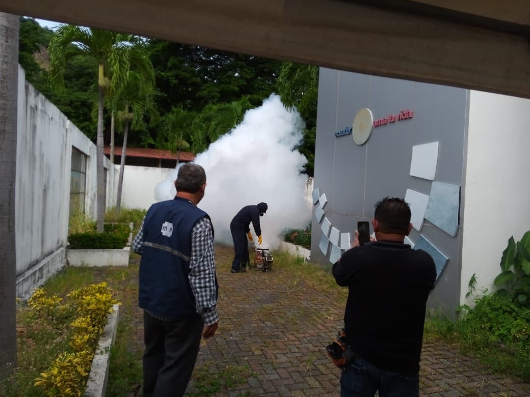 Salud_Guayas's tweet photo. Personal de #ControlVectorial del Distrito 09D06 lleva a cabo proceso de fumigación en las instalaciones de @Educación_Ec y en la Unidad Educativa 28 de Mayo con el objetivo de prevenir la aparición del mosquito transmisor de dengue. 
#QuédateEnCasa
#MiBarrioSinMosquito https://t.co/kreuvTZA45