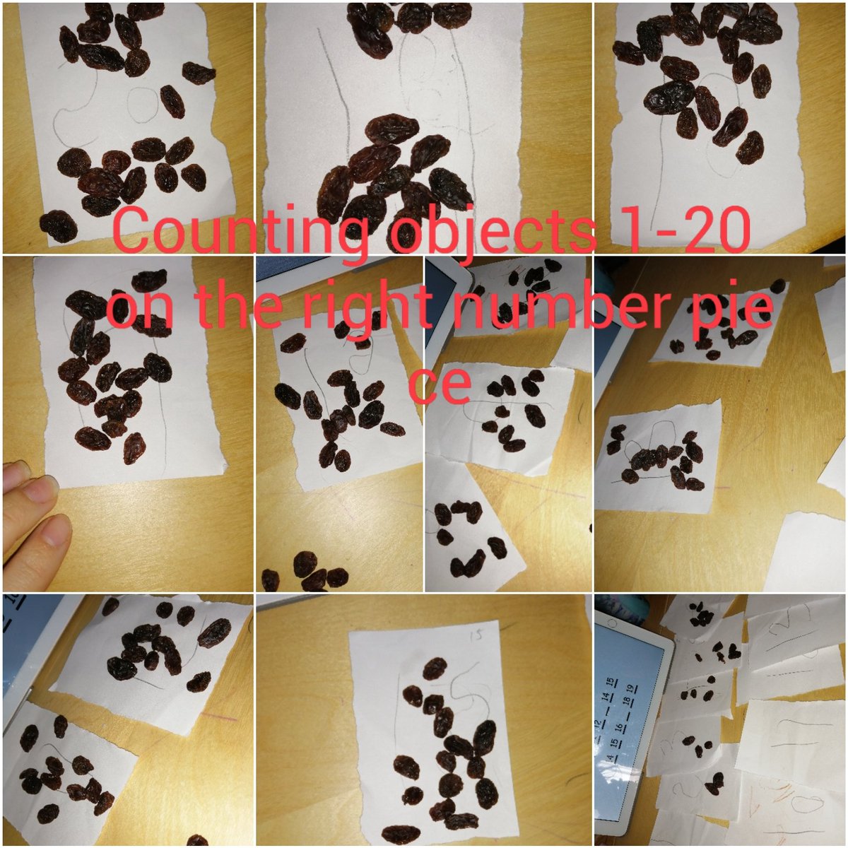TerriMorgan3's tweet photo. @ChilternPSHull Rosa-Leigh doing her 1-20 counting and putting the correct unt of raisins on the correct number sheet https://t.co/X1gIoeVamF