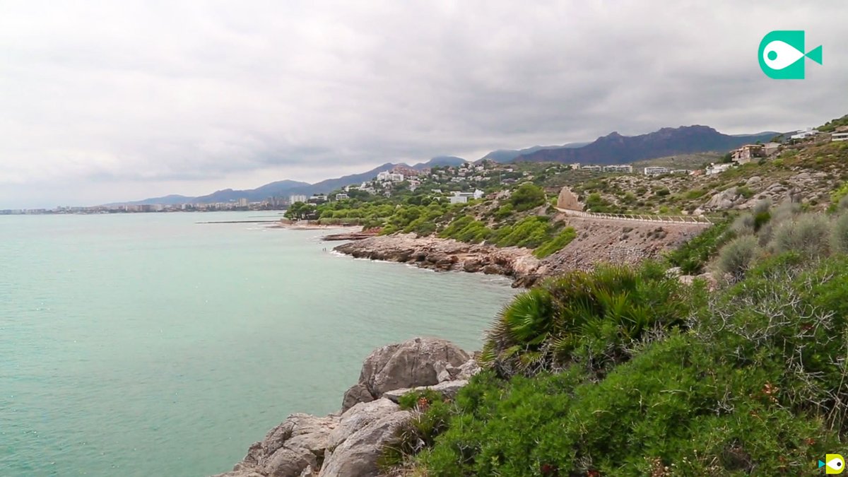 samarucdigital's tweet photo. Llum verda al Centre d'Interpretació del Mediterrani a Orpesa. El CIMED compta amb els permisos pertinents de les autoritats municipals i autonòmiques. Orpesa comptarà amb un centre divulgatiu de la fauna i flora autòctona adjacent a la Via Verda de la Mar https://t.co/8nKLMc4f08 https://t.co/DPkEMvoCyI