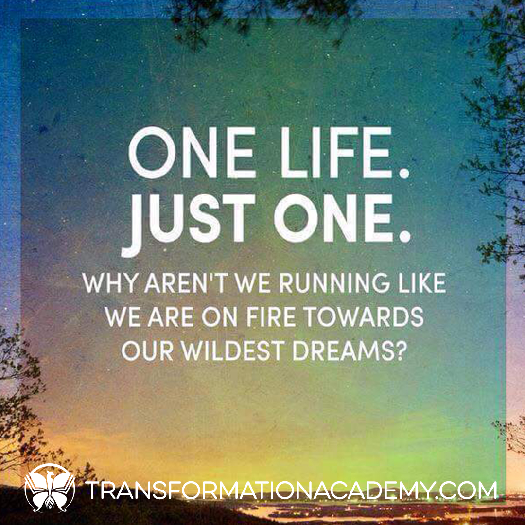 transformlife23's tweet image. One life. Just one. Why aren't we running like we are on fire towards our wildest dreams?

#wildestdream #justonelife