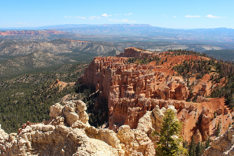 After sunrise, we head the 100 yards back to the lodge for a nap before checkout. Then it's in the car for a drive down to Rainbow Point, as far south in the Park as the road goes. It's about 1,100 feet higher in elevation than the Lodge and yesterday's pictures.