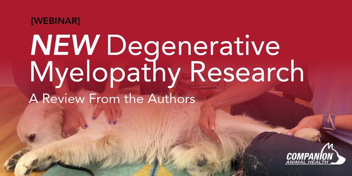 Companion Animal Health tweet media