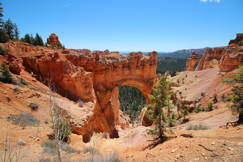 The drive itself is quite scenic. There's even a natural bridge.