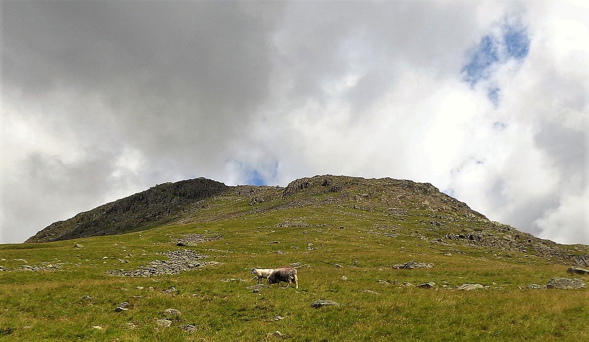 StanLeigh18's tweet photo. #Wainwrights in ascending order-157th on the list #SlightSide #SouthernFells -2499ft in Pictorial Guide
-Departure from #Brotherikeld
-#SlightSide & #Scafell ahead
-final approach to #SlightSide
-next stop #Scafell
Thanks for following this journey- #HighRaise next at 2500 ft 👍 https://t.co/i7wFWYGLjd