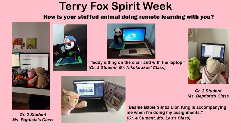 TerryFoxPS1's tweet photo. Thank you for sharing your photos of how your stuffed animal is doing remote learning with you. Please keep sending them to us =) https://t.co/FczZar9501