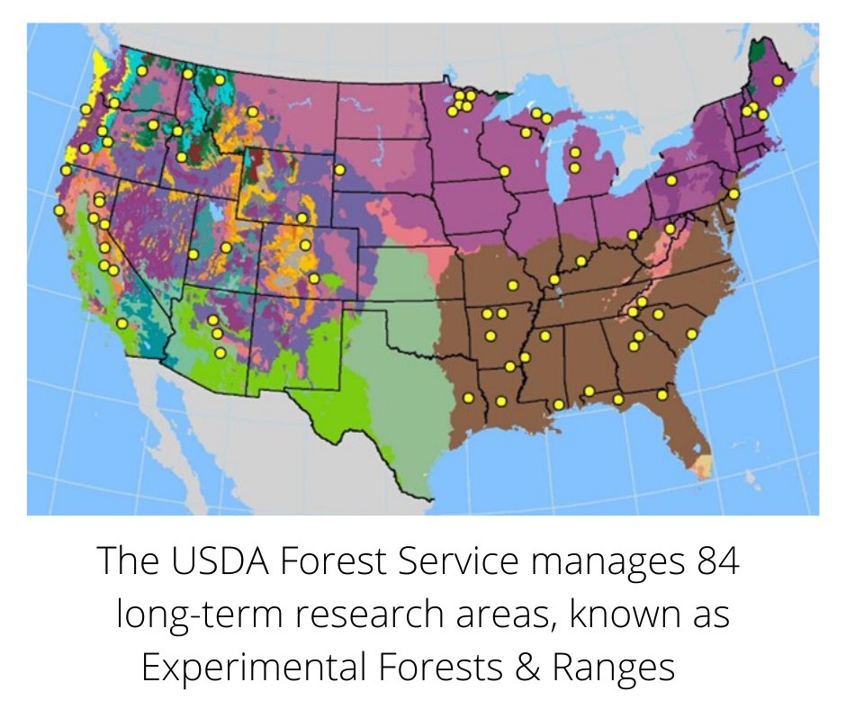 usfs_srs's tweet photo. A collection of education products from #ExperimentalForest &amp; range lands across the US! Explore the water cycle, lichens, plasticine caterpillars, bark beetles &amp; more. Scientist cards, videos, multimedia stories, factsheets &amp; lesson plans available here: https://t.co/GsfONqvXyg https://t.co/4bNTrBoTL5