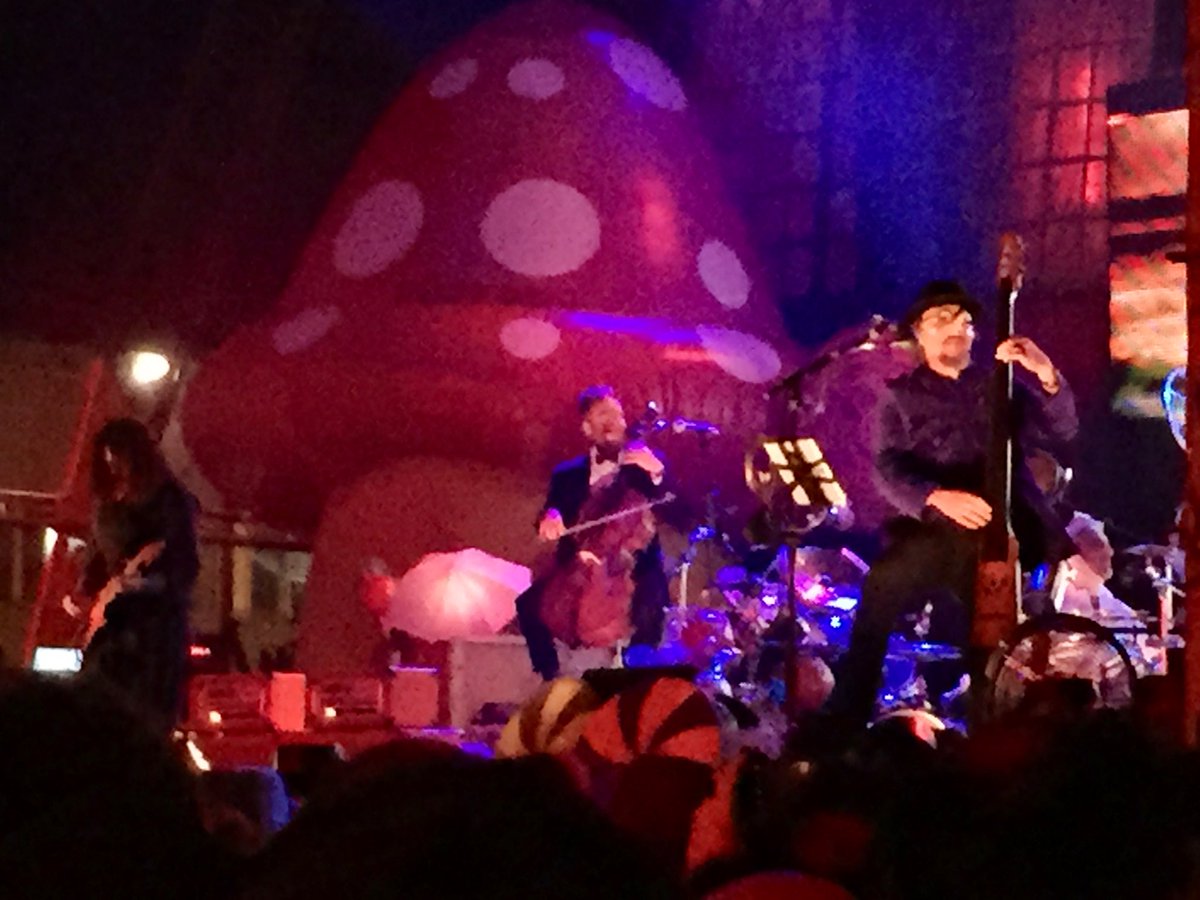 𝚜 𝚝 𝚎 ★ 𝚚𝚞𝚎𝚕𝚕𝚘 𝚍𝚎𝚕 𝟻° 𝚙𝚒𝚊𝚗𝚘 tweet media