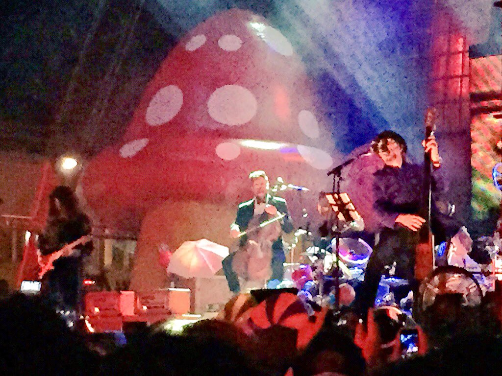 𝚜 𝚝 𝚎 ★ 𝚚𝚞𝚎𝚕𝚕𝚘 𝚍𝚎𝚕 𝟻° 𝚙𝚒𝚊𝚗𝚘 tweet media