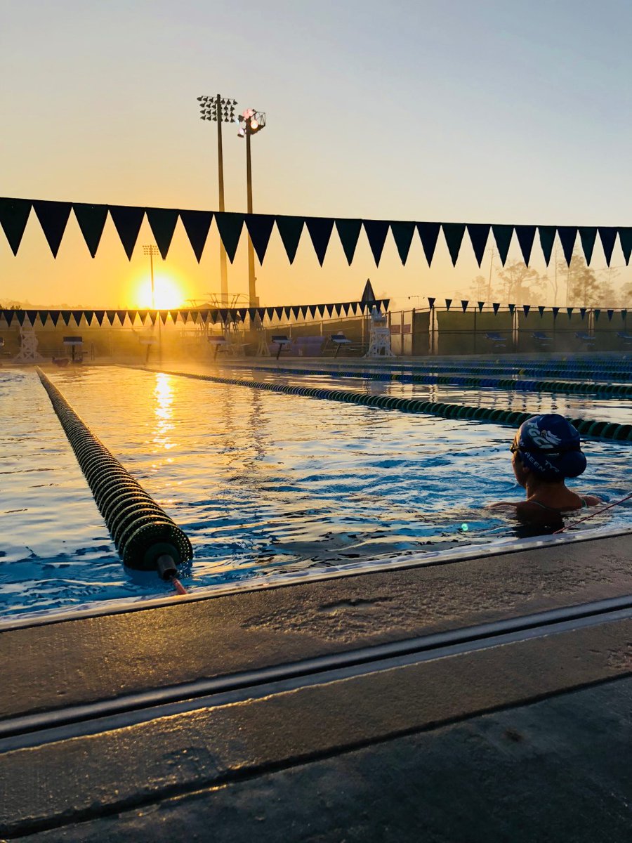 🚨 Swim, Dive &amp; Thrive Fundraiser Update 🚨

4⃣ days left &amp; we have reached 85% of our goal! 😎🔥

Did you know that since our program's 1⃣st year, we have won more individual &amp; relay events at the CCSA Championships than all other programs combined? 😱

LINK IN BIO TO DONATE!