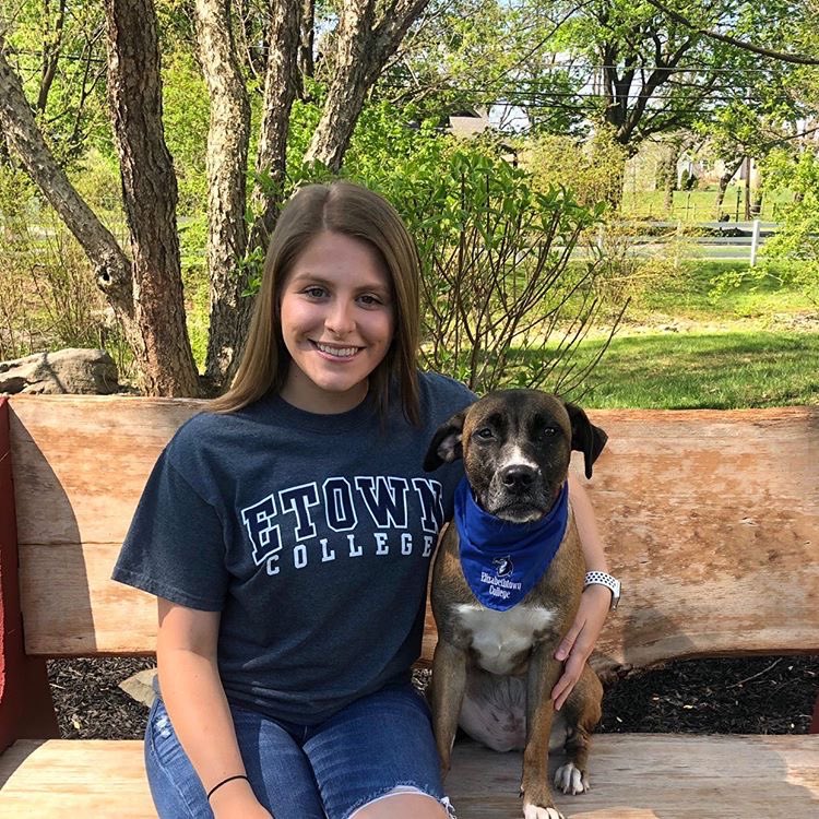 CCHS Class Of 2020 tweet media