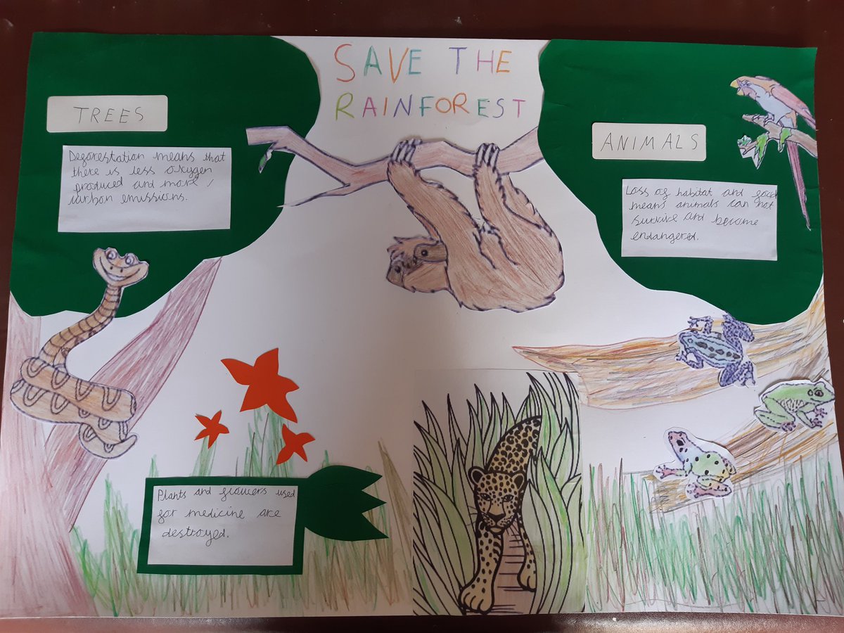 MrsLaverackMPS's tweet photo. Absolutely blown away with Olivia's 'Save the Rainforest' factual poster. Some brilliant facts and lovely pictures. Well done Olivia, very proud of you and your amazing effort π #Rainforesttopic #savetherainforest #hardwork @MarshlandsGoole @Charlot18909464 https://t.co/Umye0HAeru