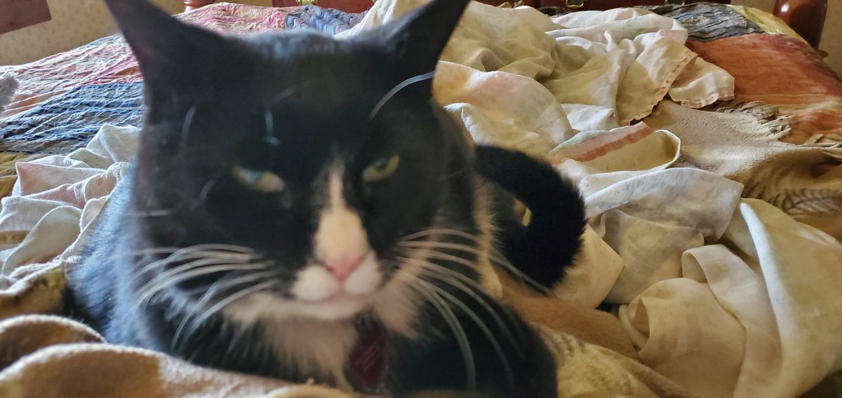 MrSpaceshipHead's tweet photo. @PickleAndNancy I'm taking care of Mom. We are https://t.co/2ovM27w8TW