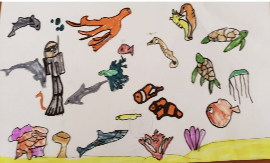 It’s high adventure for Mr. Sorriero today! Outwitting crocodiles, outerspace travel and underwater exploration will keep a gym teacher busy! #TheAdventuresOfMrSorriero