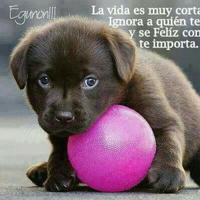 Emi 🏴‍☠️🎸 tweet media