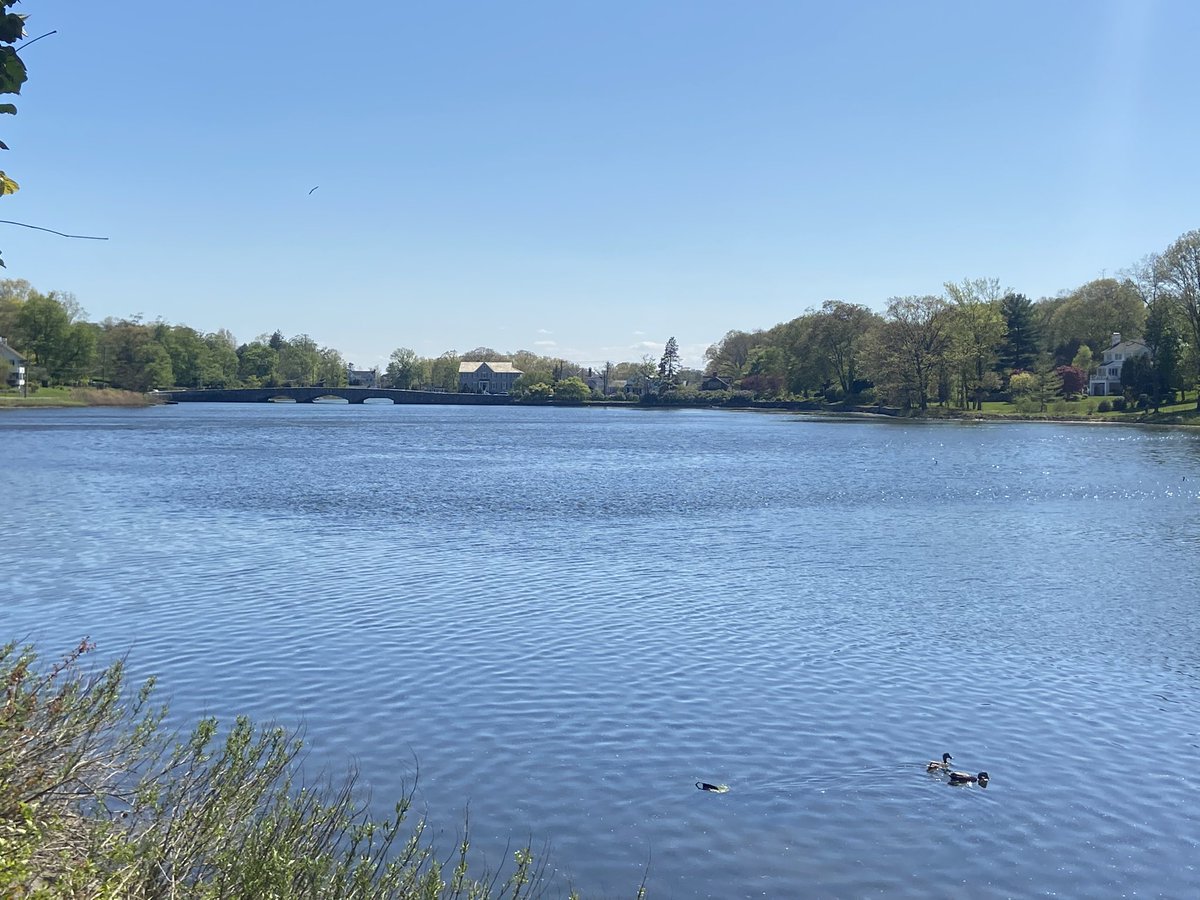 darienct200 tweet media