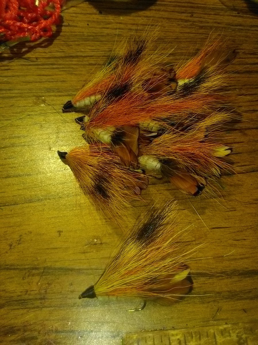 Adam Witt (@adamwit20742862) on Twitter photo 