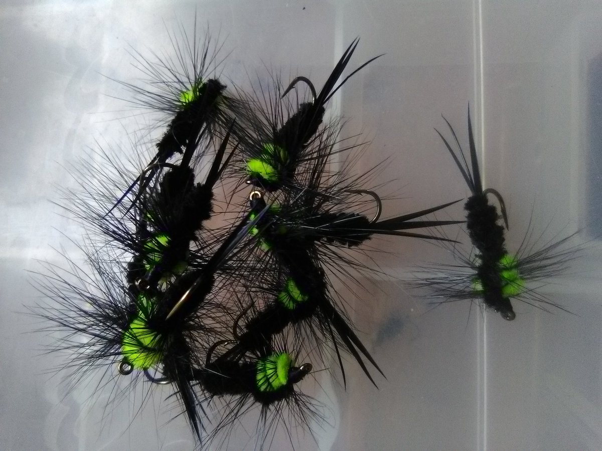 Adam Witt (@adamwit20742862) on Twitter photo 