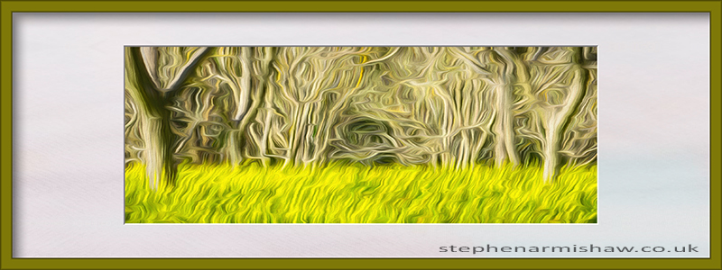 New artwork inspired by trip to Island of Madeira. Seems like 100 years ago...! stephenarmishaw.co.uk #Madeira #madeiraisland #landscape #landscapeart #art #yorkshireartist #artist #landscapephotography #vwcamper