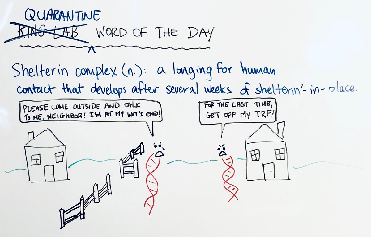 Fossilized Word of the Day tweet media