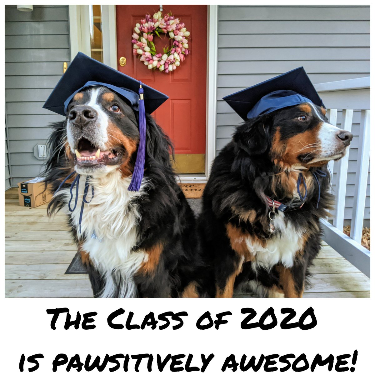 clcmnedu's tweet photo. It's commencement day for our Staples Campus! Tomorrow, we celebrate our Brainerd grads.
We are so excited to celebrate YOU!
Here are a few messages from our staff and faculty ๐โฅ๏ธ
#clcstrong #clc2020 #clcmoment https://t.co/colgrk4xYY