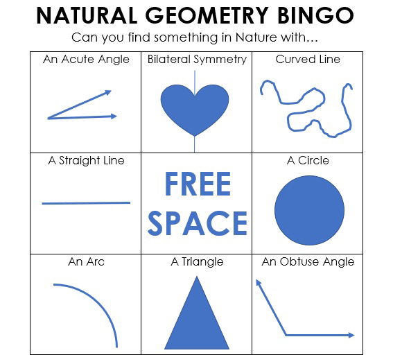 discoveryworld's tweet photo. It's a beautiful afternoon to get outside and play some Natural Geometry Bingo. #DiscoveryWorldAtHome https://t.co/jwU8zClOCQ
