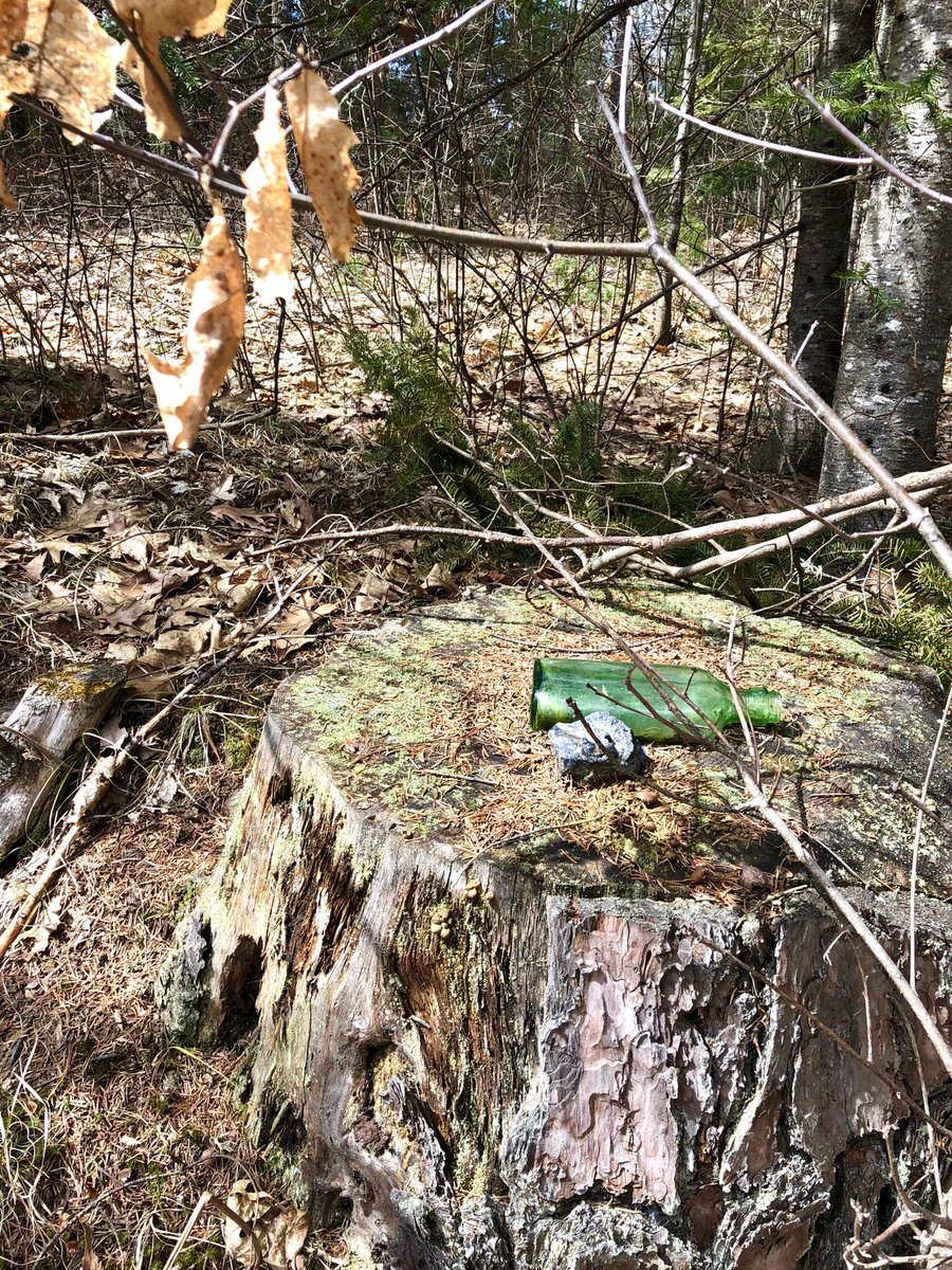 CBMulleadyRealt's tweet photo. The Northwoods can hold surprises...like this old glass bottle near a former logging trail.
What’s the most interesting thing you’ve seen during walks in the woods? #wednesdaymorning https://t.co/mt09JlEX0s