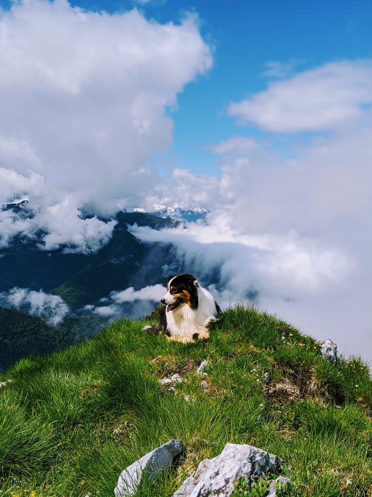 God is a dog. 28ème sommet pour Nix (objectif 100) ! RT si t’aimes partager des nuages.