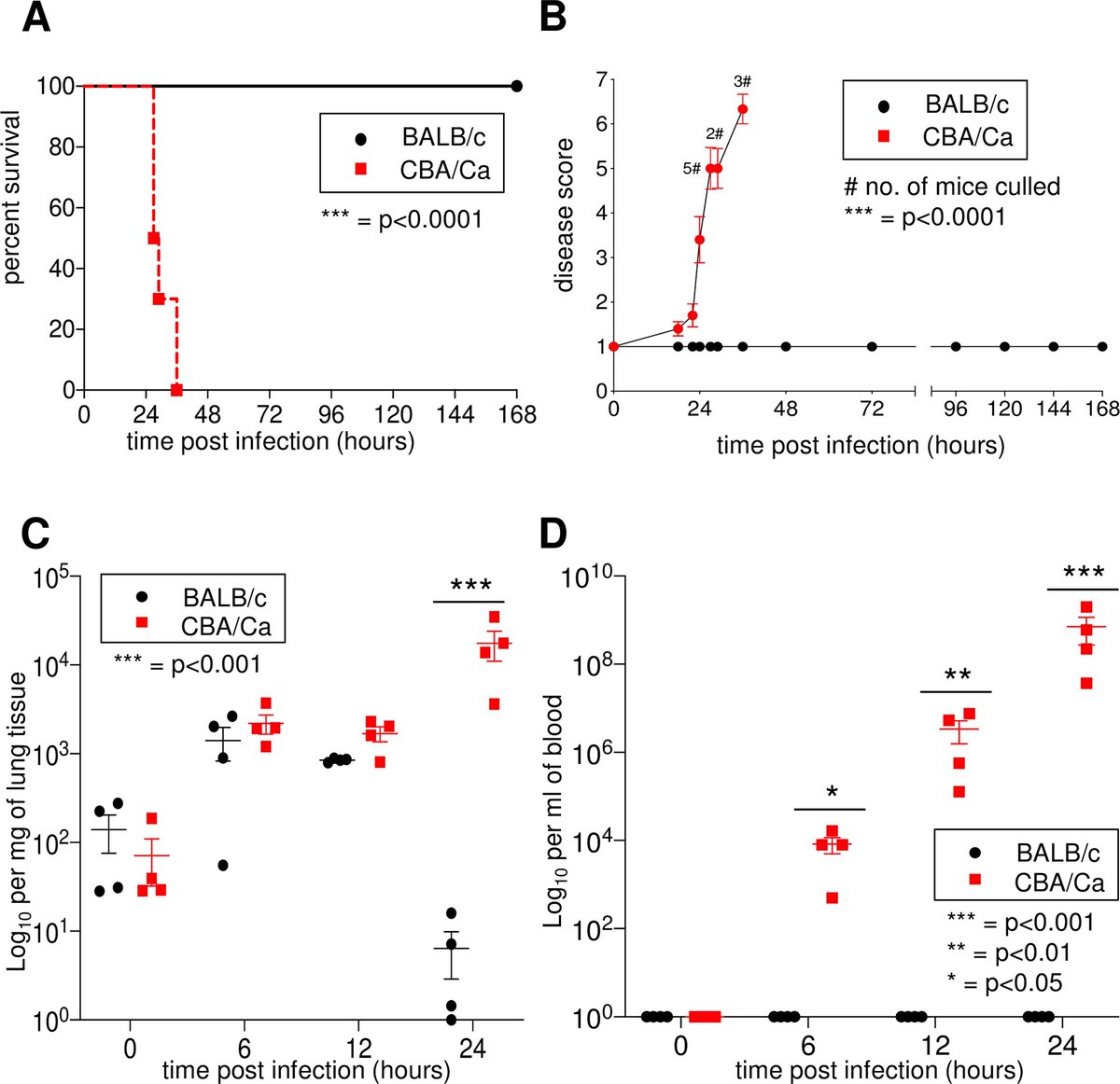 ensembl's tweet photo. The B-cell inhibitory receptor CD22 is a major factor in host resistance to #Streptococcus pneumoniae #infection. @PLOSPathogens 
https://t.co/X9FnLwqLBF
#UsingEnsembl #UsingVEP #pneumonia https://t.co/xAOVa0pIDB