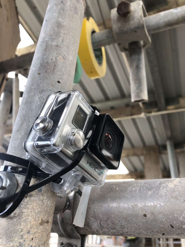 Advance_Milking's tweet photo. Using remote viewing to maintain social distancing whilst still performing thorough observations of cow flow, milking routine and cow behaviour during our dynamic #MilkingTimeTest
I bet @GoPro don’t often see their kit used in #TeamDairy!! https://t.co/RpoaUnxCG4
