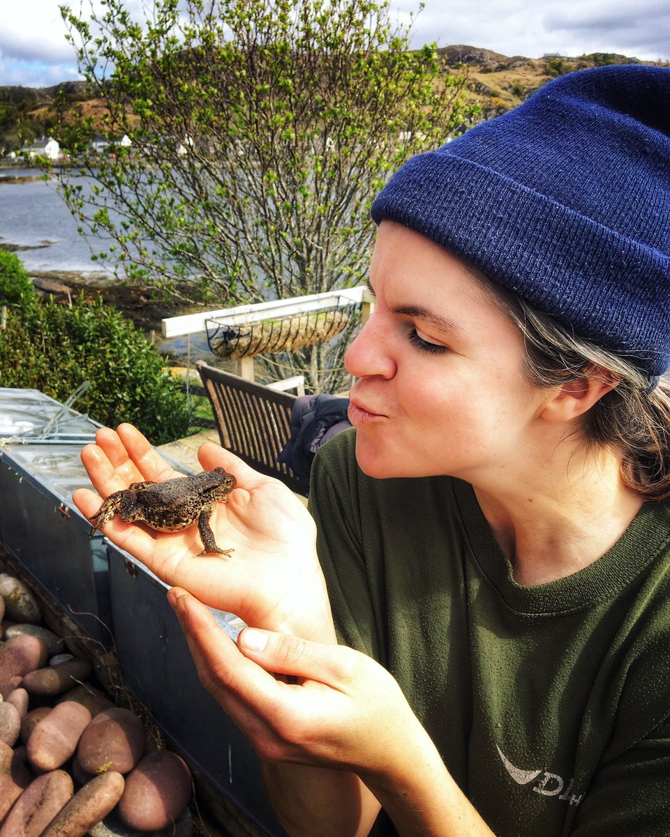 Not social distancing with toads.