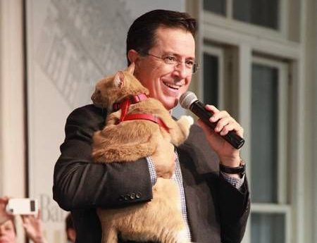 Stephen Colbert’s Birthday Celebration | HappyBday.to