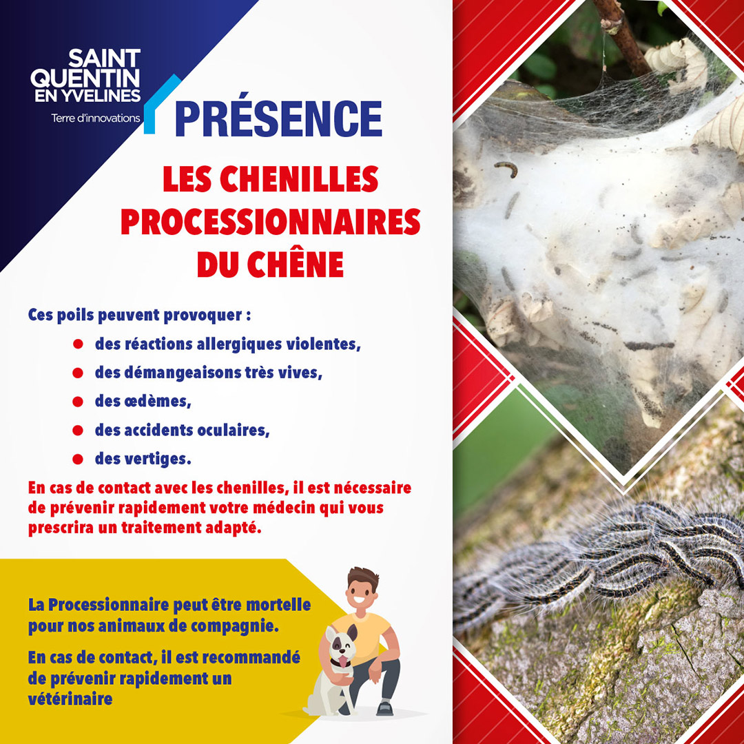 sqy's tweet image. #ChenillesProcessionnaires

🐛  Lutte contre les invasifs : 2eme et dernière cession de traitement ! 🐛

👉 Du 14 au 20 avril 2020, SQY poursuit sa campagne sur le territoire, avec la 2eme cession de traitement contre la processionnaire du Chêne.

&amp;gt;&amp;gt; saint-quentin-en-yvelines.fr/fr/actualites/…