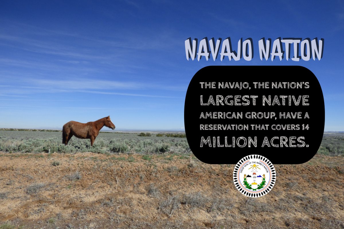 3) There are many areas on the Navajo Nation without access to running water. How are they supposed to wash their hands w/no water?4)Due to public health disparities, food deserts & general social inequity, the prevalence of underlying conditions is higher.
