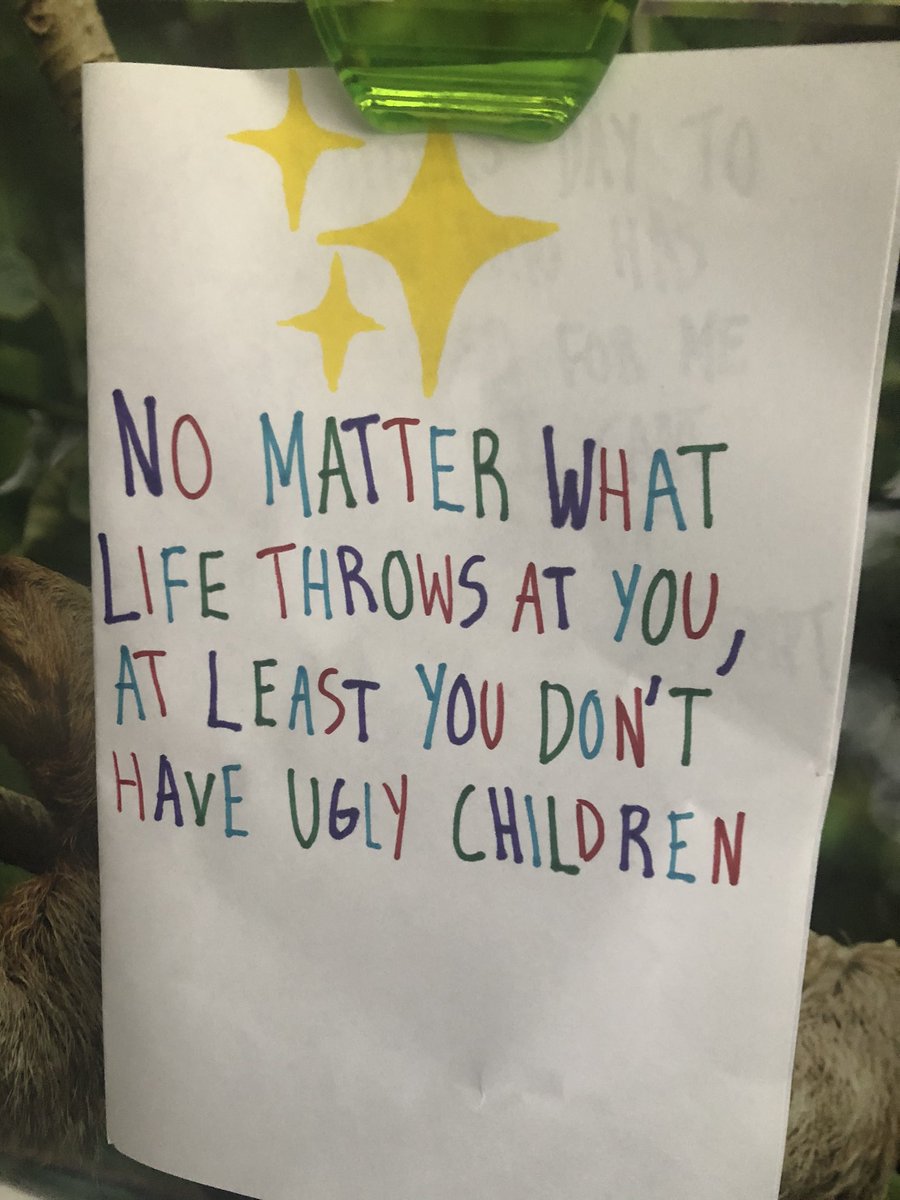 Steve Pratt tweet media