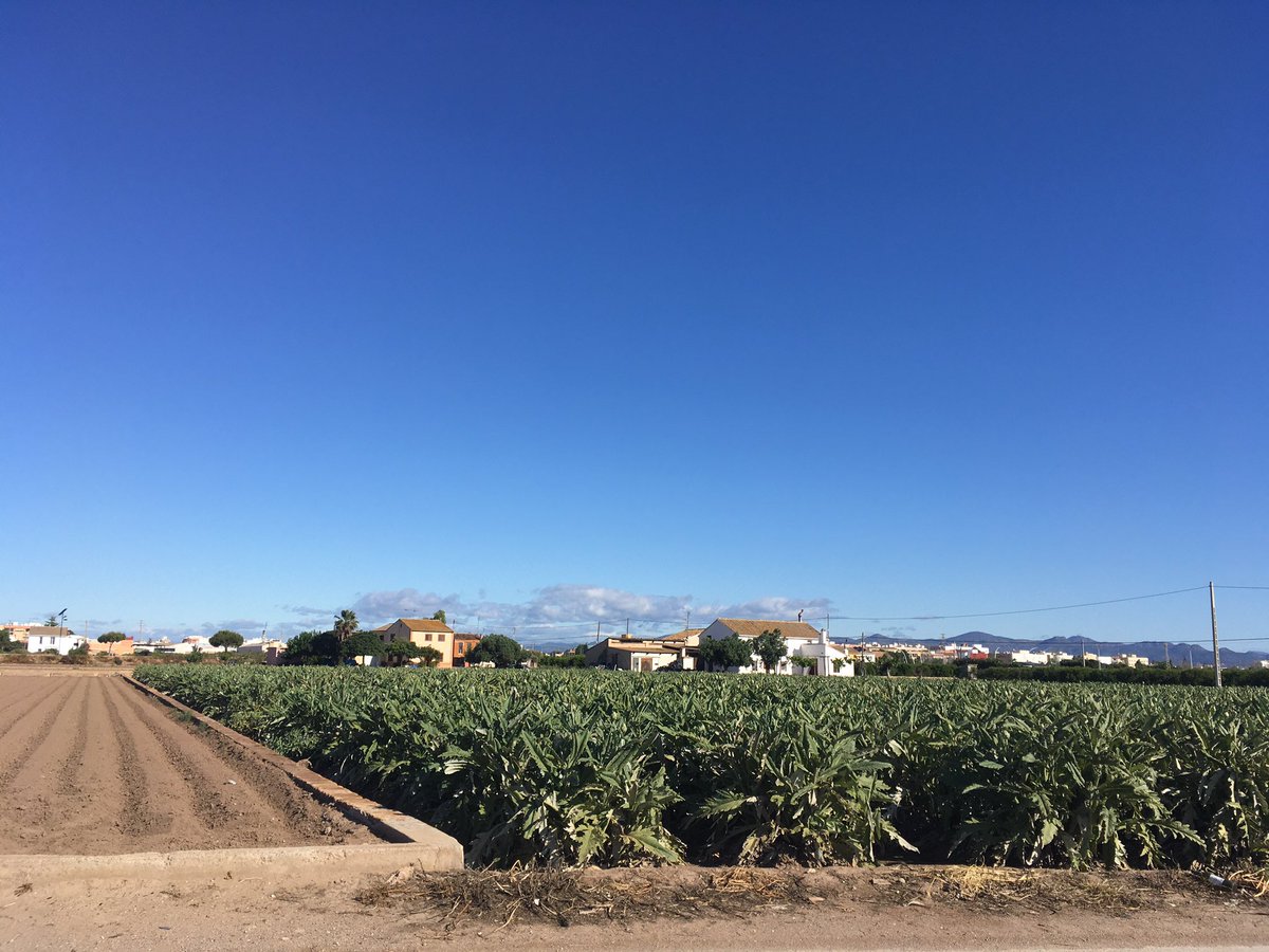 Day 5/7 of my life in pictures. Rules: no words, no people, nominate someone new each day. I was nominated by <a href="/KarolBF1/">KarolBF</a> and I nominate <a href="/AxelTouw/">Axel Touw</a>