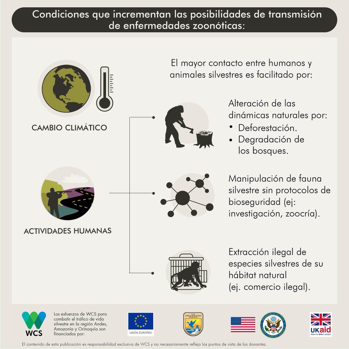 WCS_Peru's tweet photo. ¿Qué actividades humanas crean escenarios propicios para que aparezcan enfermedades zoonóticas como la #COVID19? 👉https://t.co/LX94U6bUkr
#unplanetaunasalud #wildpet #climatecrisis #deforestación #tráficodefauna #coronavirus #zoonosis https://t.co/LgWFvzfnIR