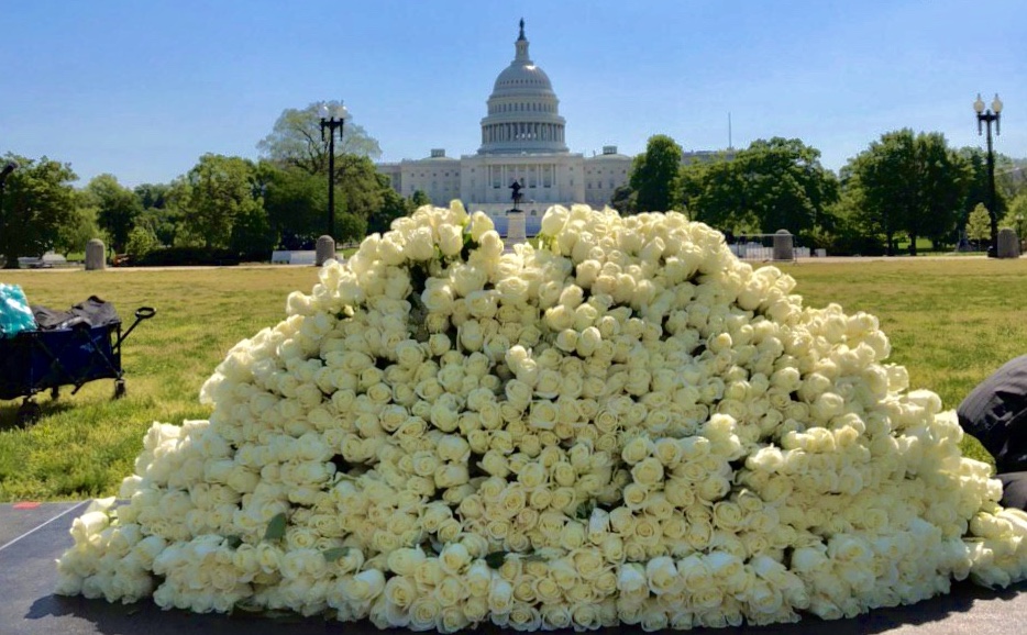 Yesterday, an American died from Coronavirus every 53 seconds. We have gathered thousands of roses to represent the nearly 85,000 lives lost to date.  #TrumpsFailureOurLoss 3/8