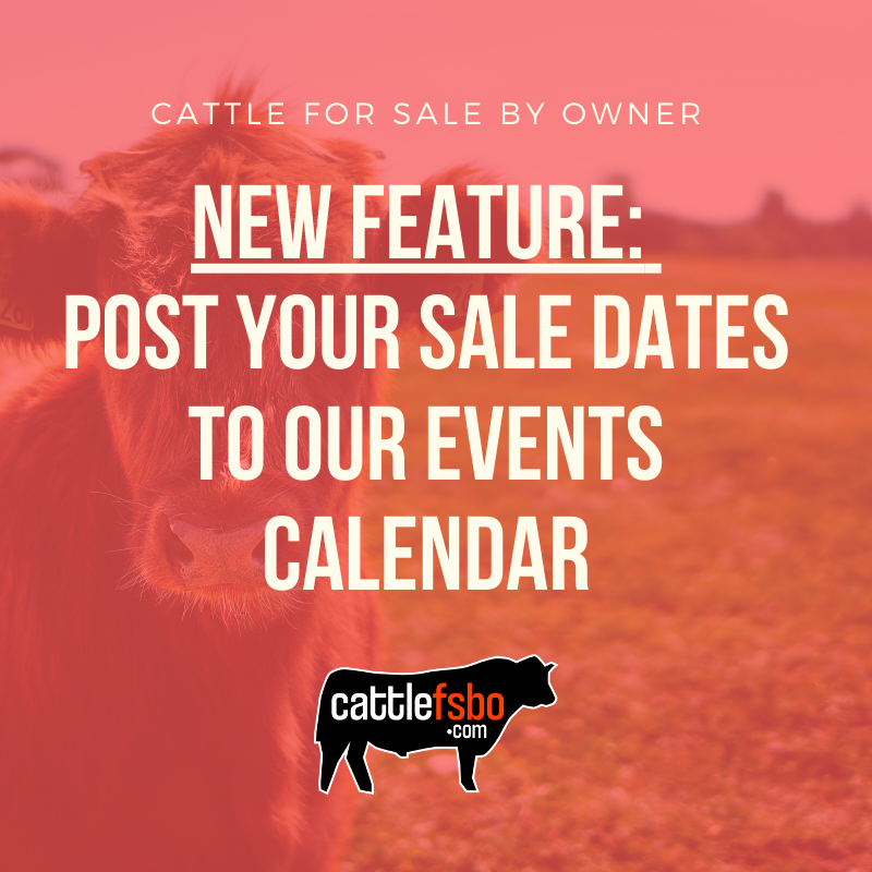 NEW FEATURE: You can now post your sale or other event for free on CattleFSBO.com! We will also be sharing events on our social media platforms. #CattleForSale #CattleFSBO
