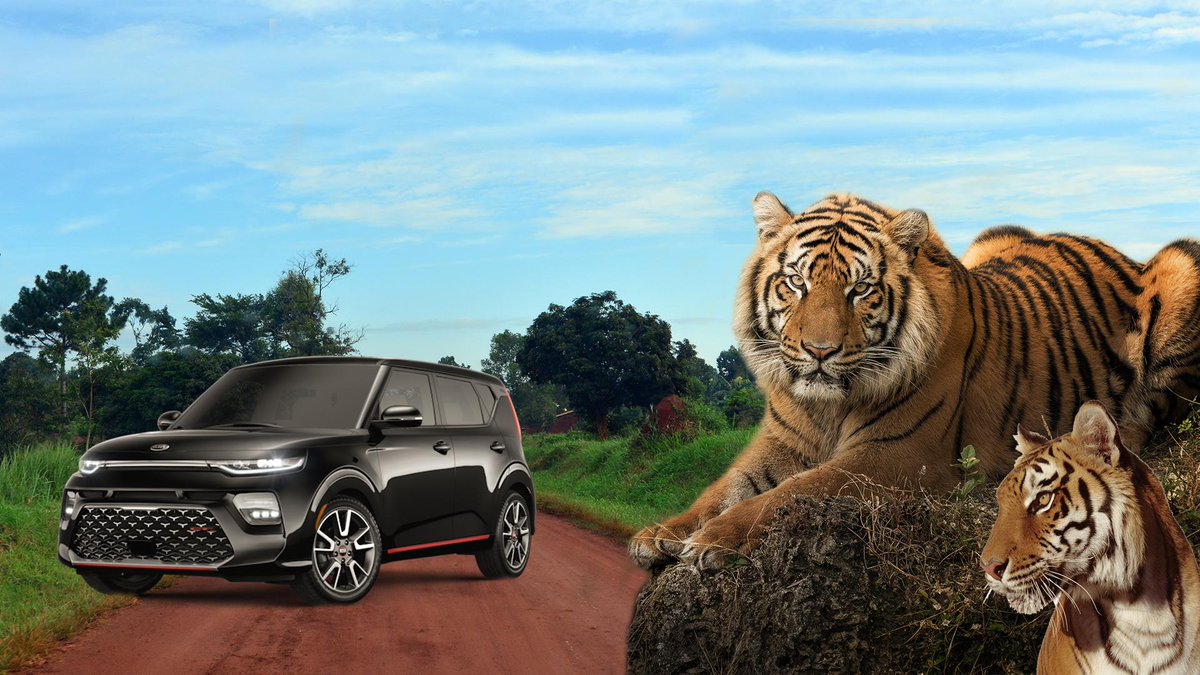 Kia's tweet photo. (1/3) We heard you like tigers and video conference backgrounds. Download these backgrounds to add some flair to your meetings:

https://t.co/vZhVlQbdBL https://t.co/oOPrXToGBl