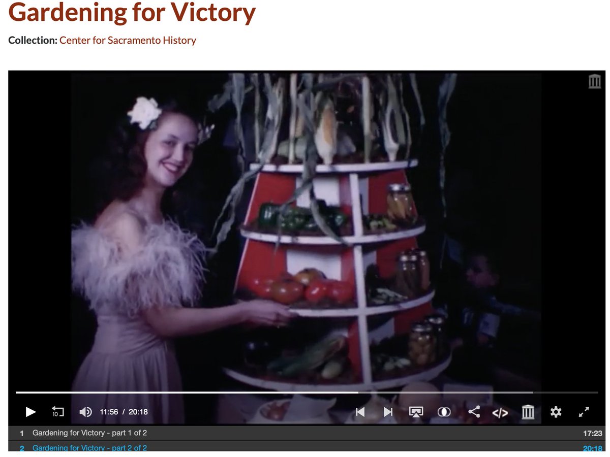 I think the  #victorygarden is another WW2 example where war metaphors didn't reign supreme.It shows us there is another way to think than martially, even during literal total war.(Watch this inspiring community harvest vid from  @carevealed : https://californiarevealed.org/islandora/object/cavpp%3A16100)