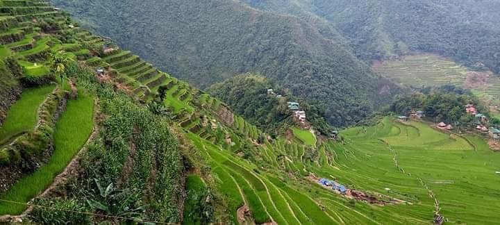 Kit97455913's tweet photo. I am madly inlove with you💙
#GreenSceneriesIs❤💕💞 https://t.co/oaft08KZMG