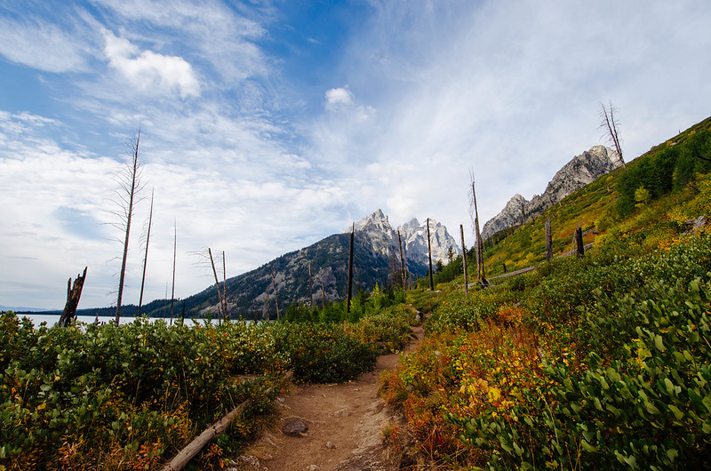 SecBernhardt's tweet image. .@YellowstoneNPS and @GrandTetonNPS will begin welcoming the public back next week!