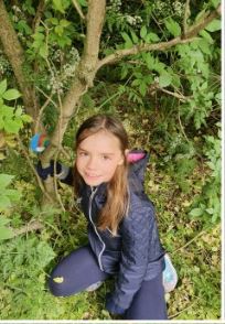 Willow Green Academy tweet media