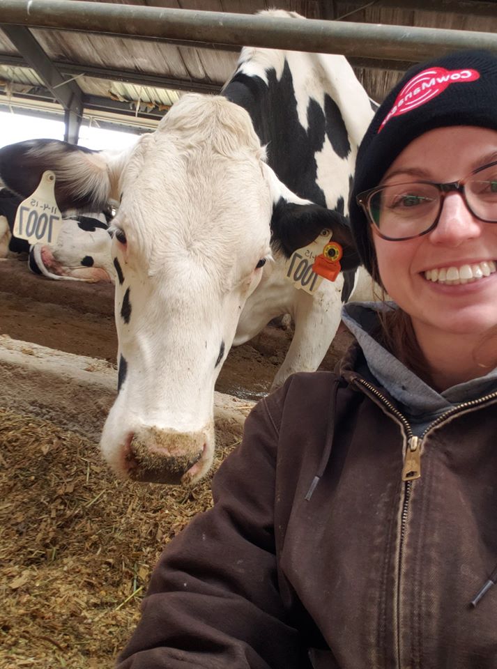 FarmLlp's tweet photo. We certainly love our cows and want to give them the best. There are all different kinds of ways to dairy farm and there is no right or wrong way of doing it. We choose to house our cows inside so we can monitor and maintain a healthy and clean-living space for our girls. https://t.co/dZNin0HTNu